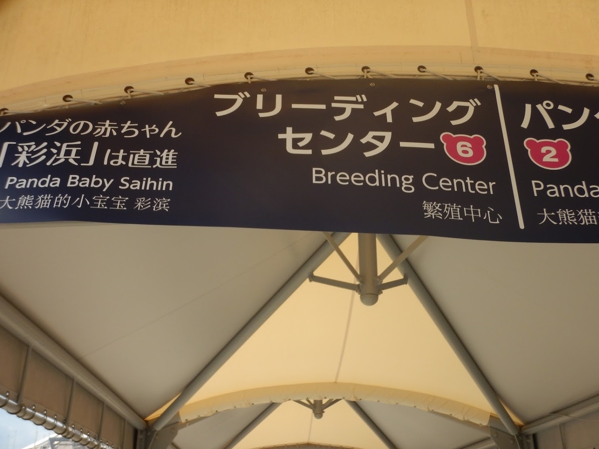 f:id:saotrip:20190316113613j:plain f:id:saotrip:20190316113613j:plain