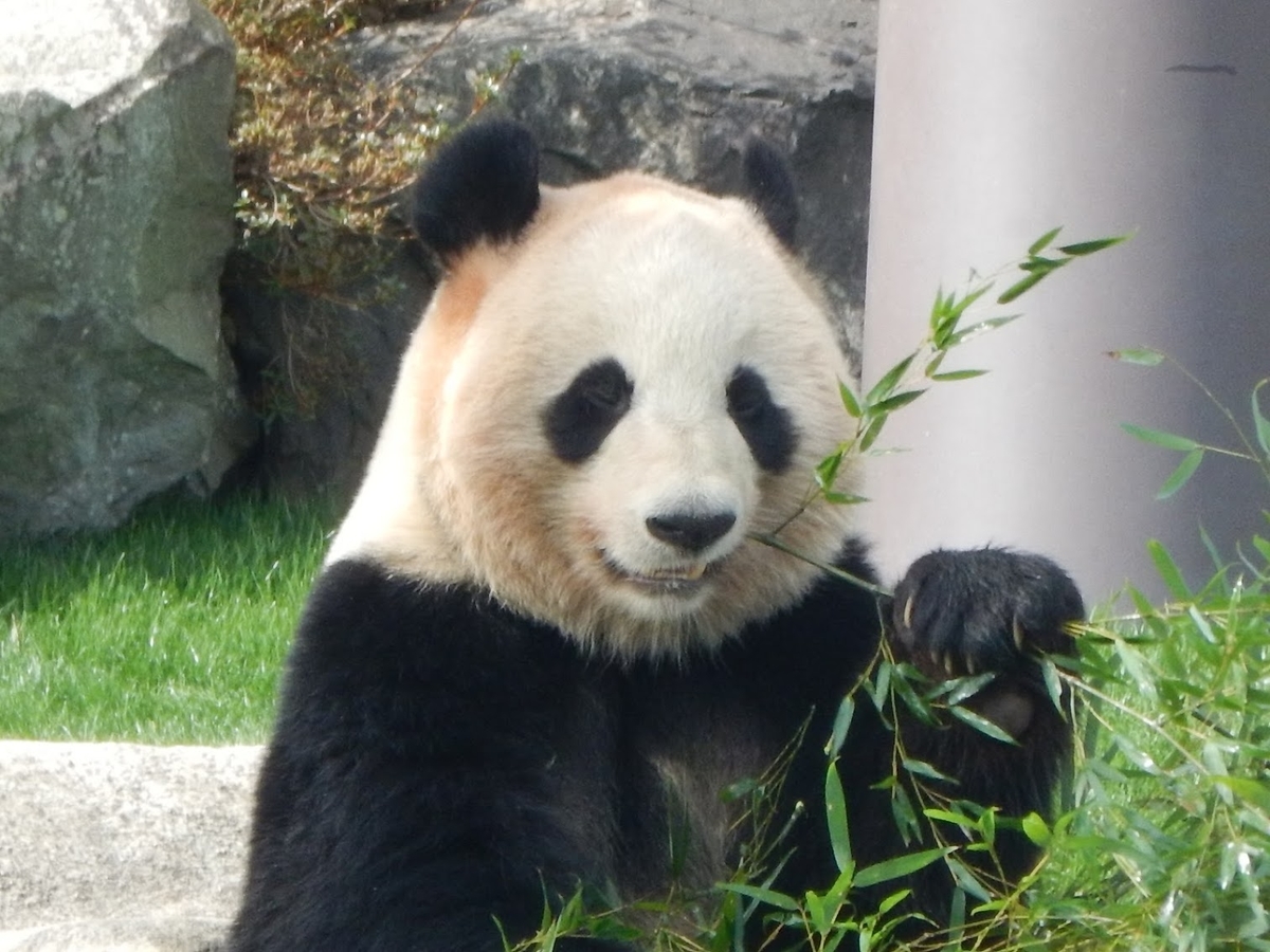 f:id:saotrip:20190316113624j:plain f:id:saotrip:20190316113624j:plain