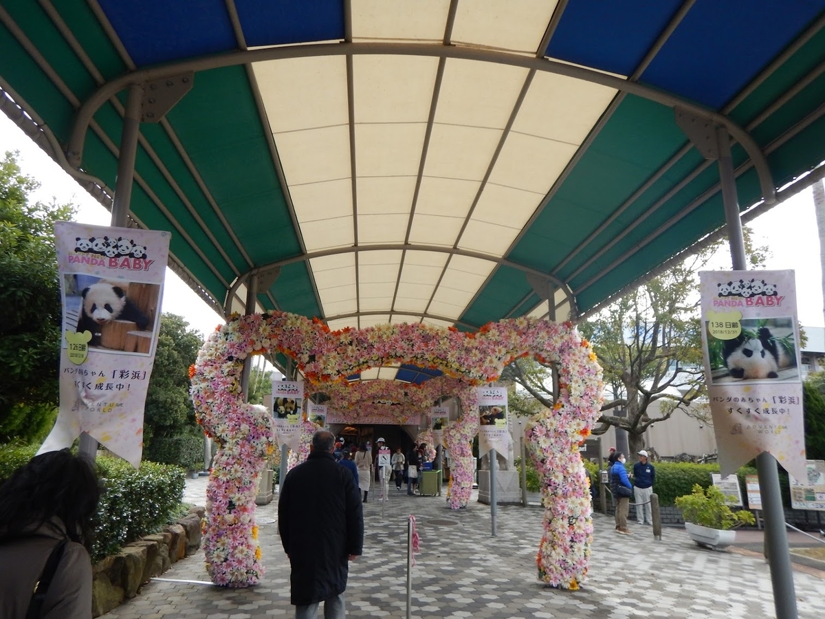 f:id:saotrip:20190316113635j:plain f:id:saotrip:20190316113635j:plain