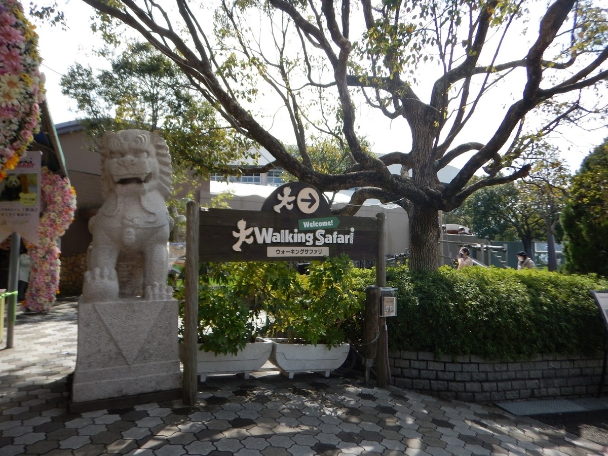 f:id:saotrip:20190316113844j:plain f:id:saotrip:20190316113844j:plain