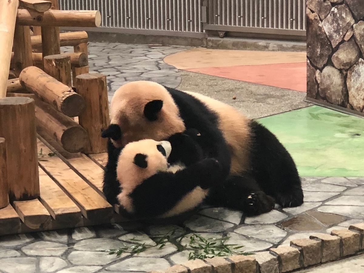 f:id:saotrip:20190316114113j:plain f:id:saotrip:20190316114113j:plain