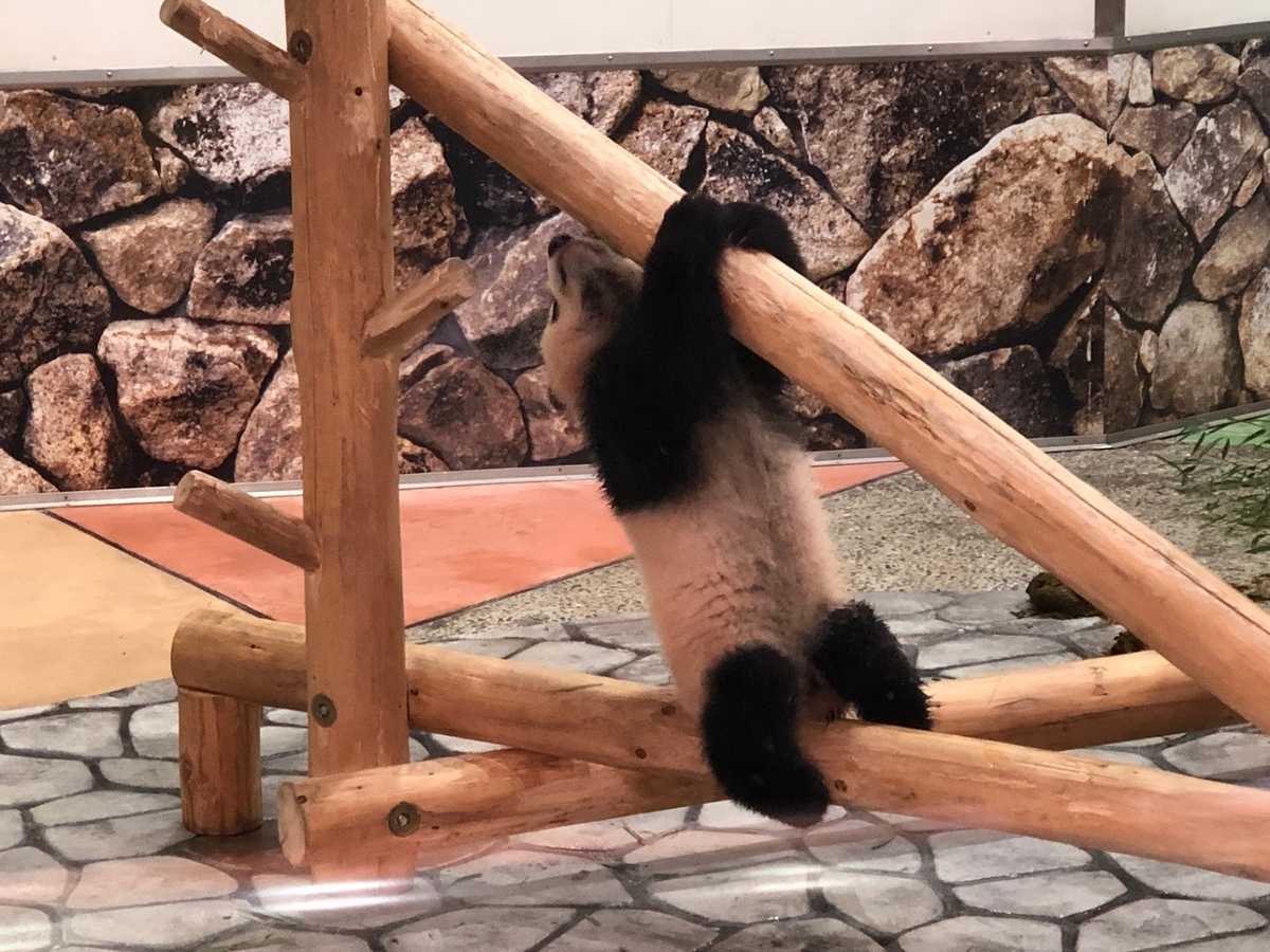 f:id:saotrip:20190316114640j:plain f:id:saotrip:20190316114640j:plain