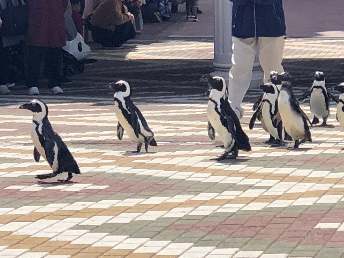 f:id:saotrip:20190316114805j:plain