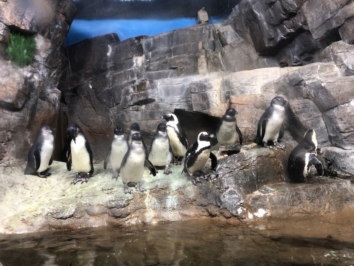 f:id:saotrip:20190316114846j:plain