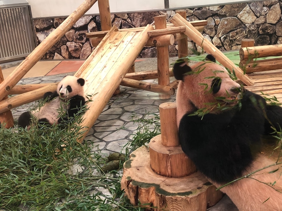 f:id:saotrip:20190316114918j:plain