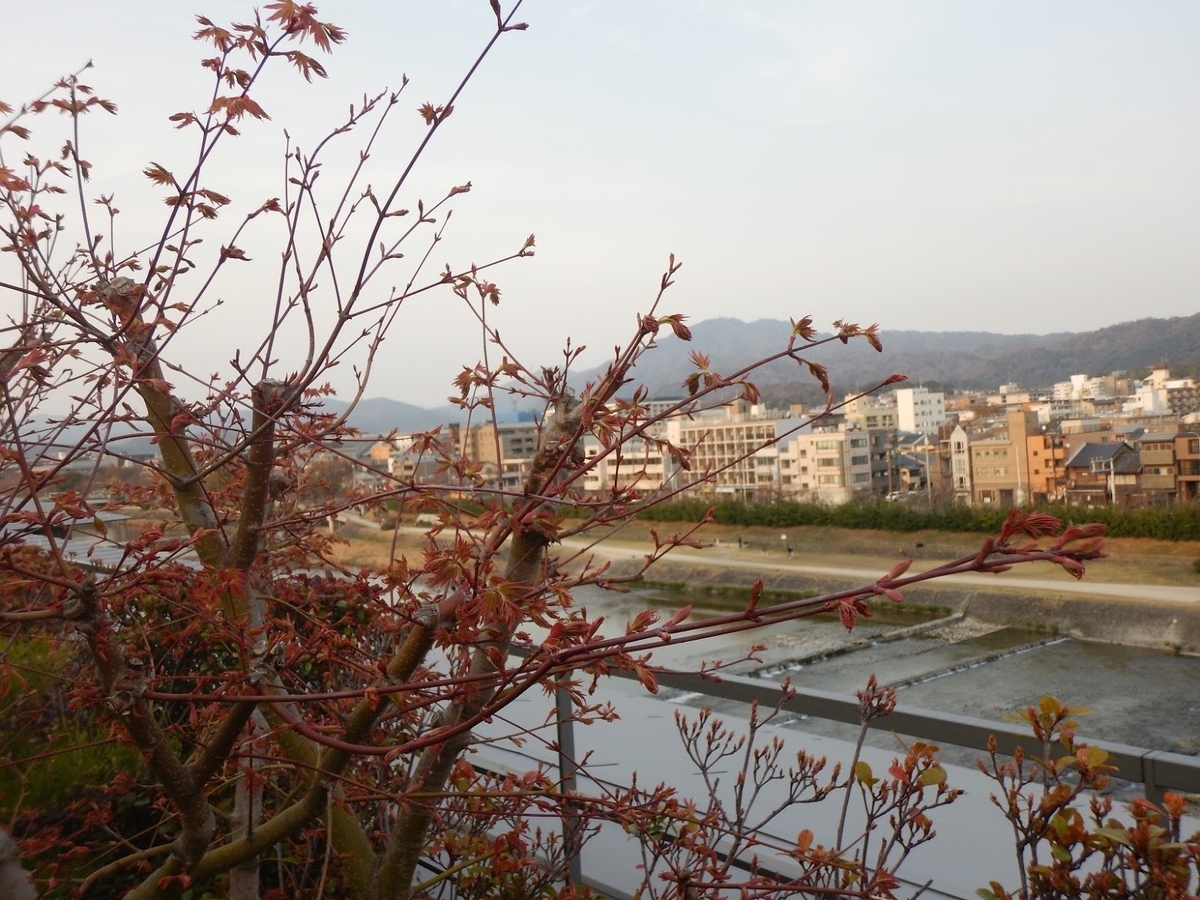 f:id:saotrip:20190401125221j:plain