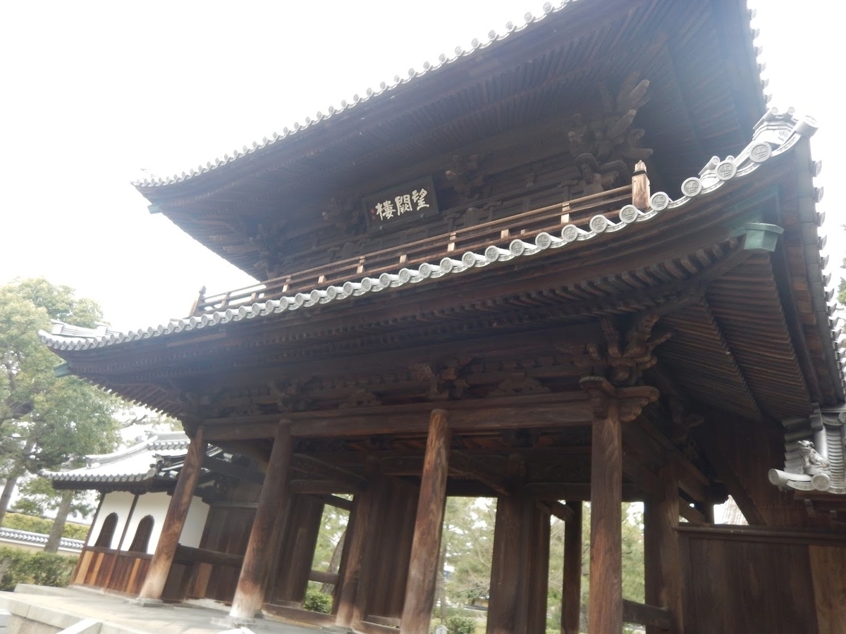 f:id:saotrip:20190402102118j:plain f:id:saotrip:20190402102118j:plain