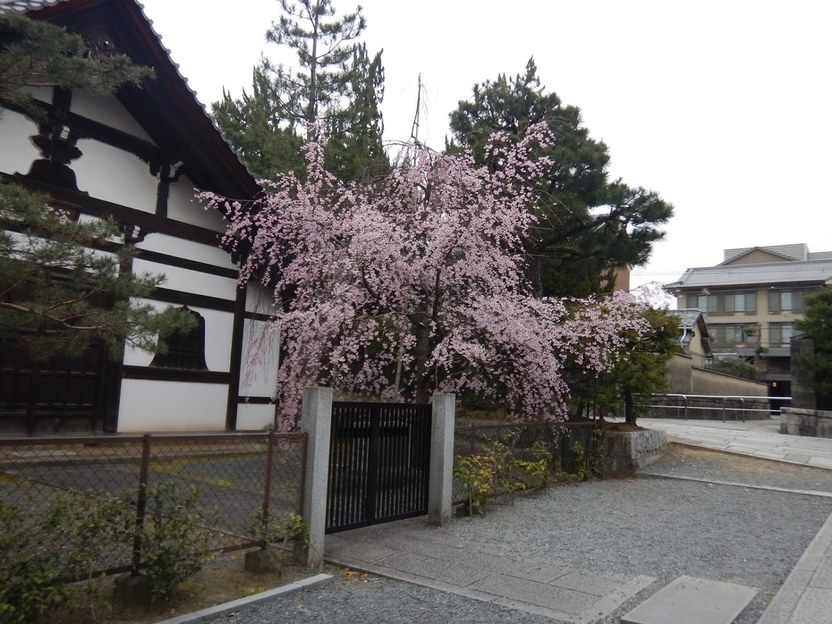 f:id:saotrip:20190402102122j:plain f:id:saotrip:20190402102122j:plain