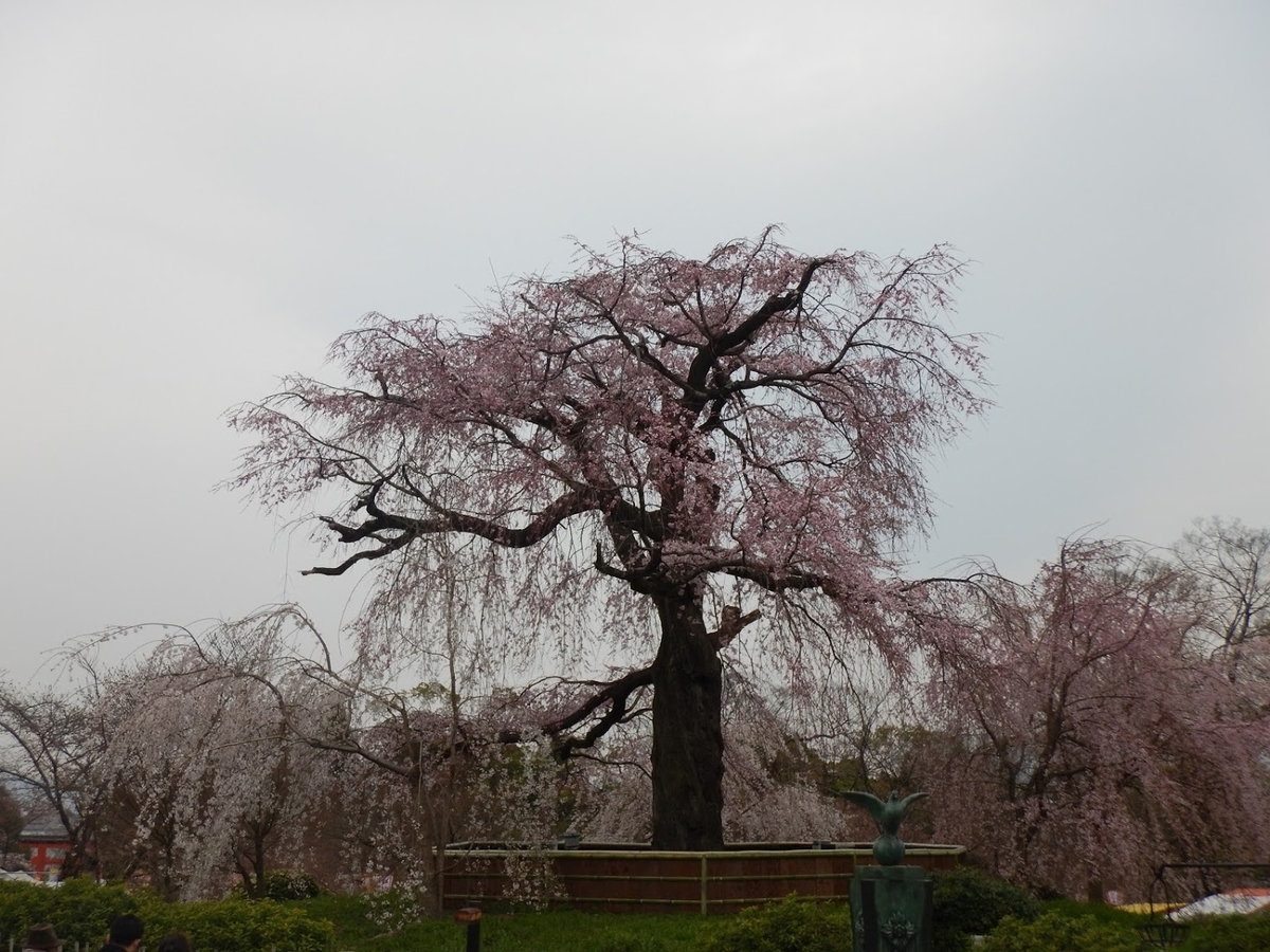 f:id:saotrip:20190402102127j:plain f:id:saotrip:20190402102127j:plain