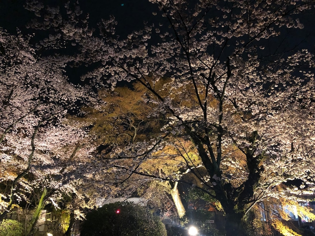 f:id:saotrip:20190411105149j:plain f:id:saotrip:20190411105149j:plain