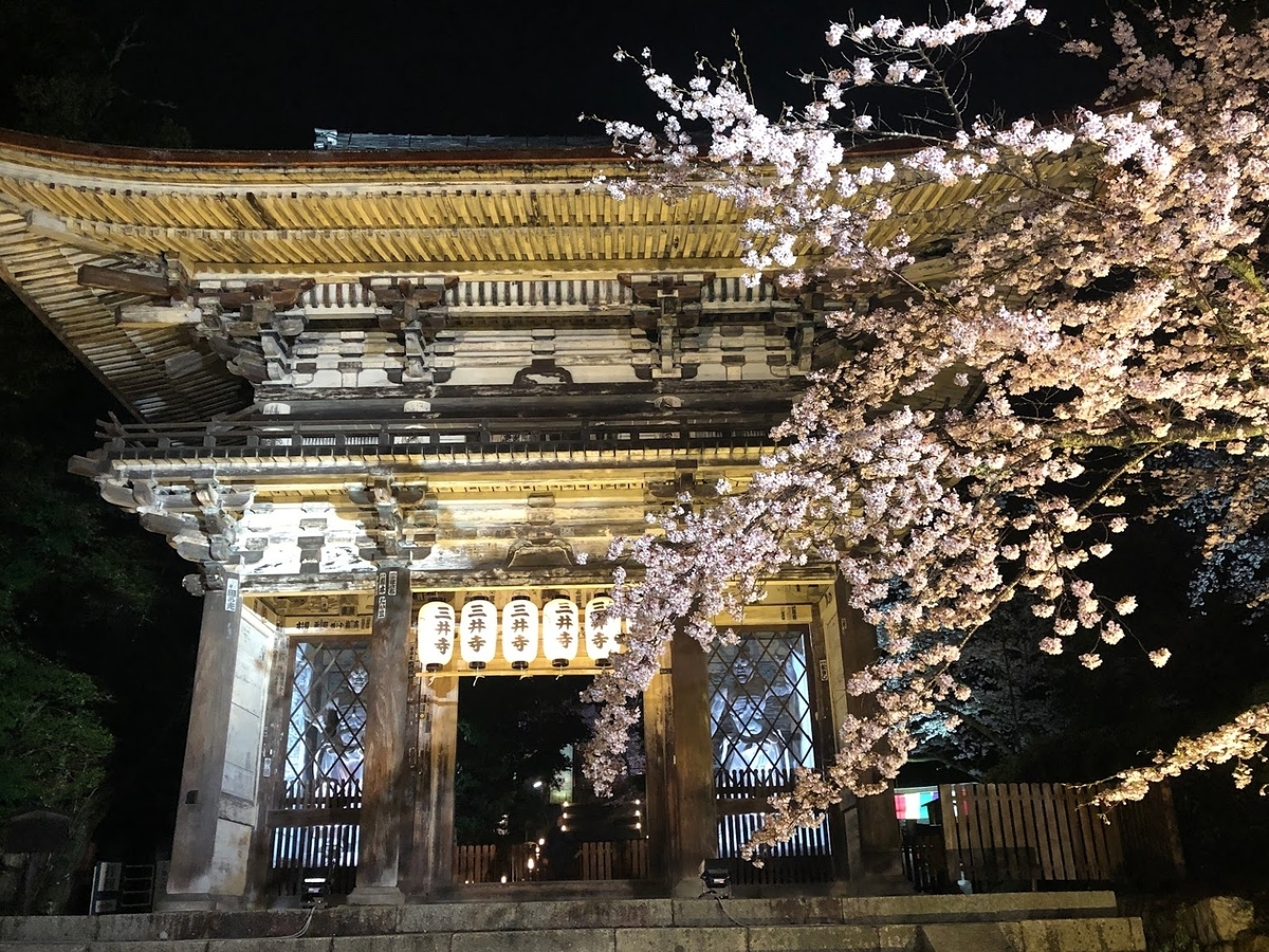 f:id:saotrip:20190411105155j:plain f:id:saotrip:20190411105155j:plain