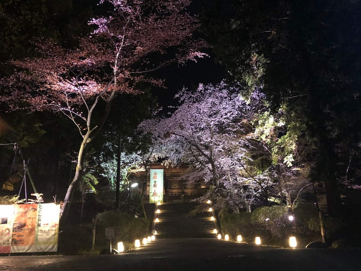 f:id:saotrip:20190411105211j:plain f:id:saotrip:20190411105211j:plain