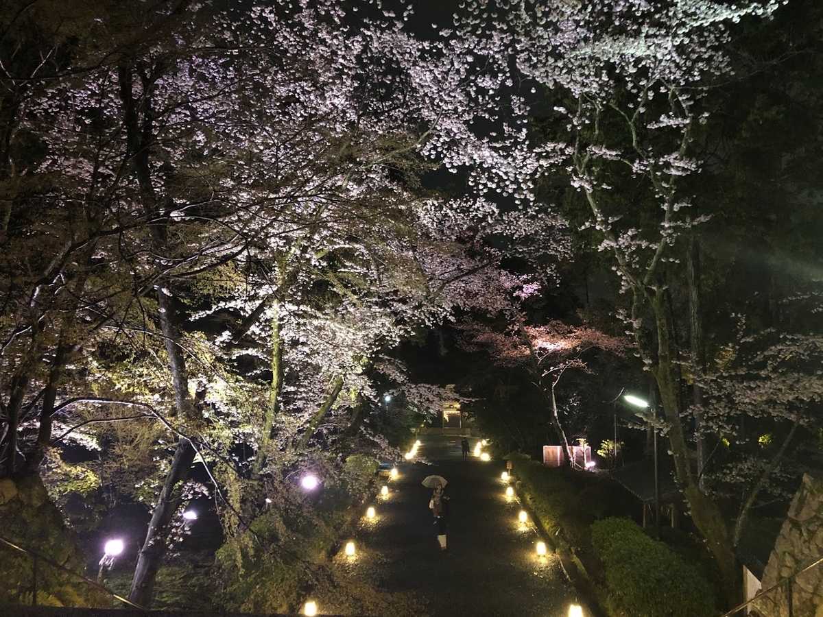 f:id:saotrip:20190411105217j:plain f:id:saotrip:20190411105217j:plain
