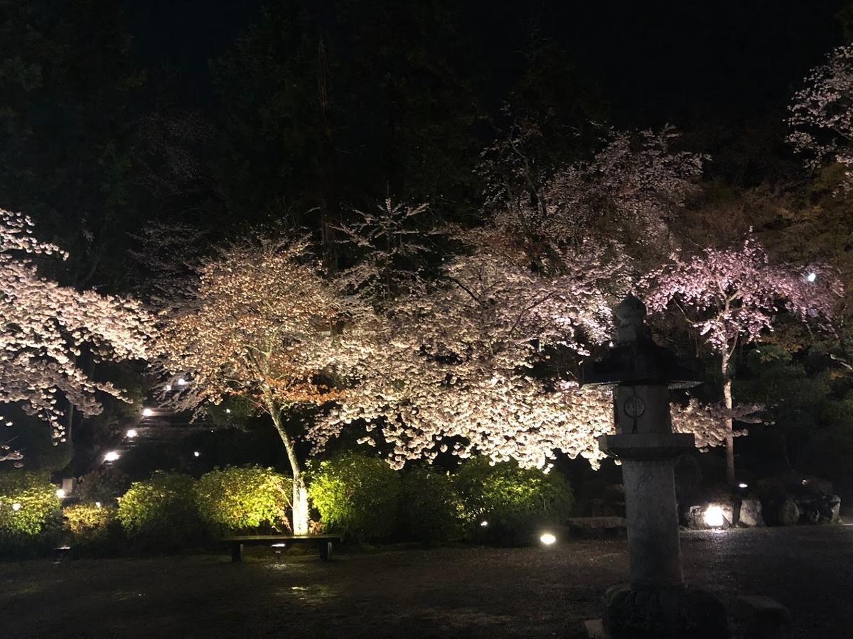 f:id:saotrip:20190411105222j:plain f:id:saotrip:20190411105222j:plain