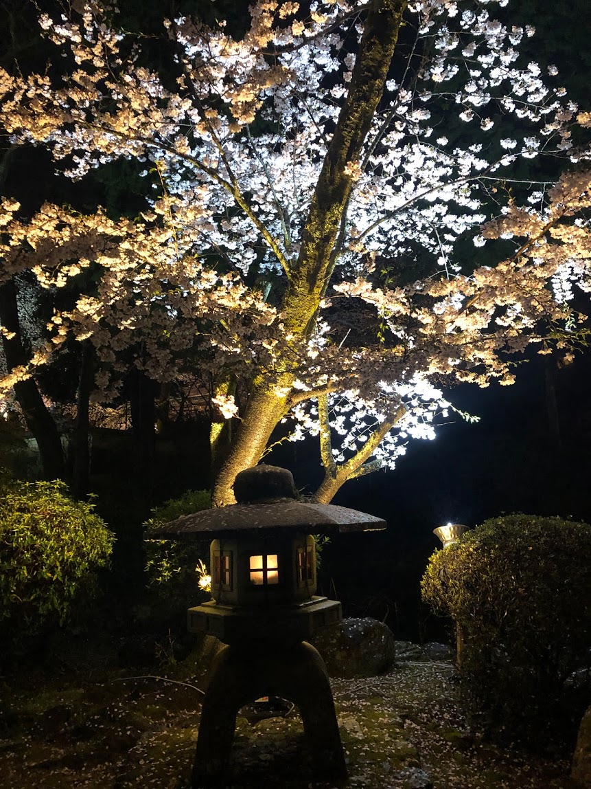 f:id:saotrip:20190411105232j:plain f:id:saotrip:20190411105232j:plain