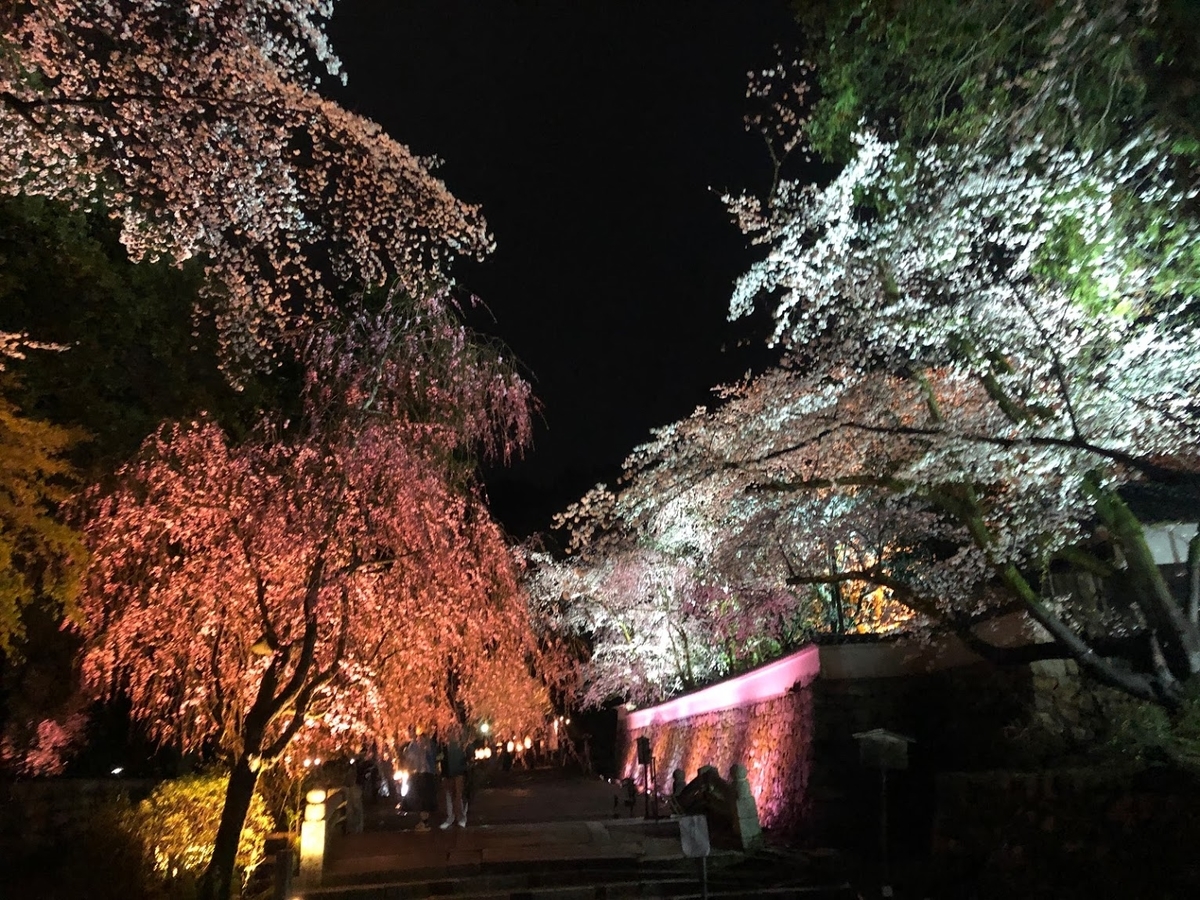 f:id:saotrip:20190411105240j:plain f:id:saotrip:20190411105240j:plain
