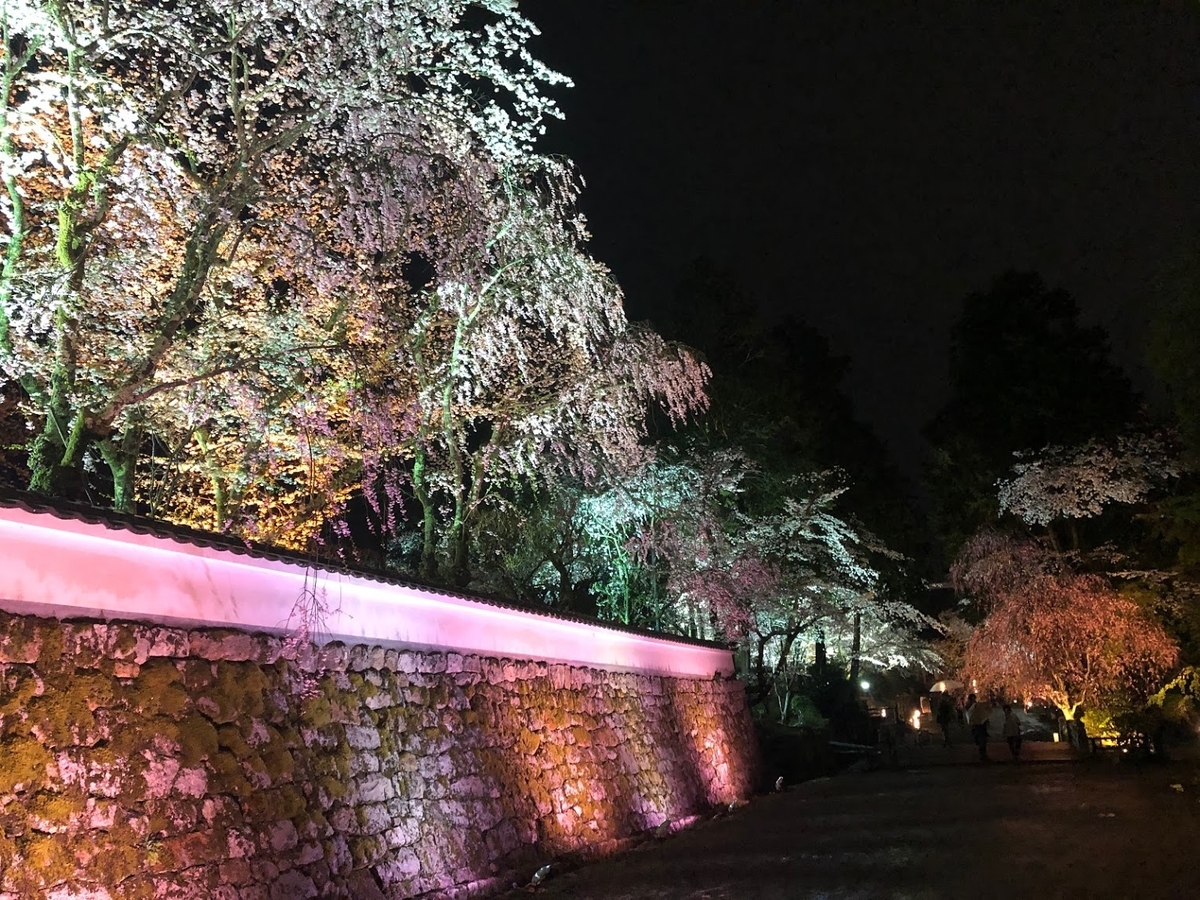 f:id:saotrip:20190411105246j:plain f:id:saotrip:20190411105246j:plain