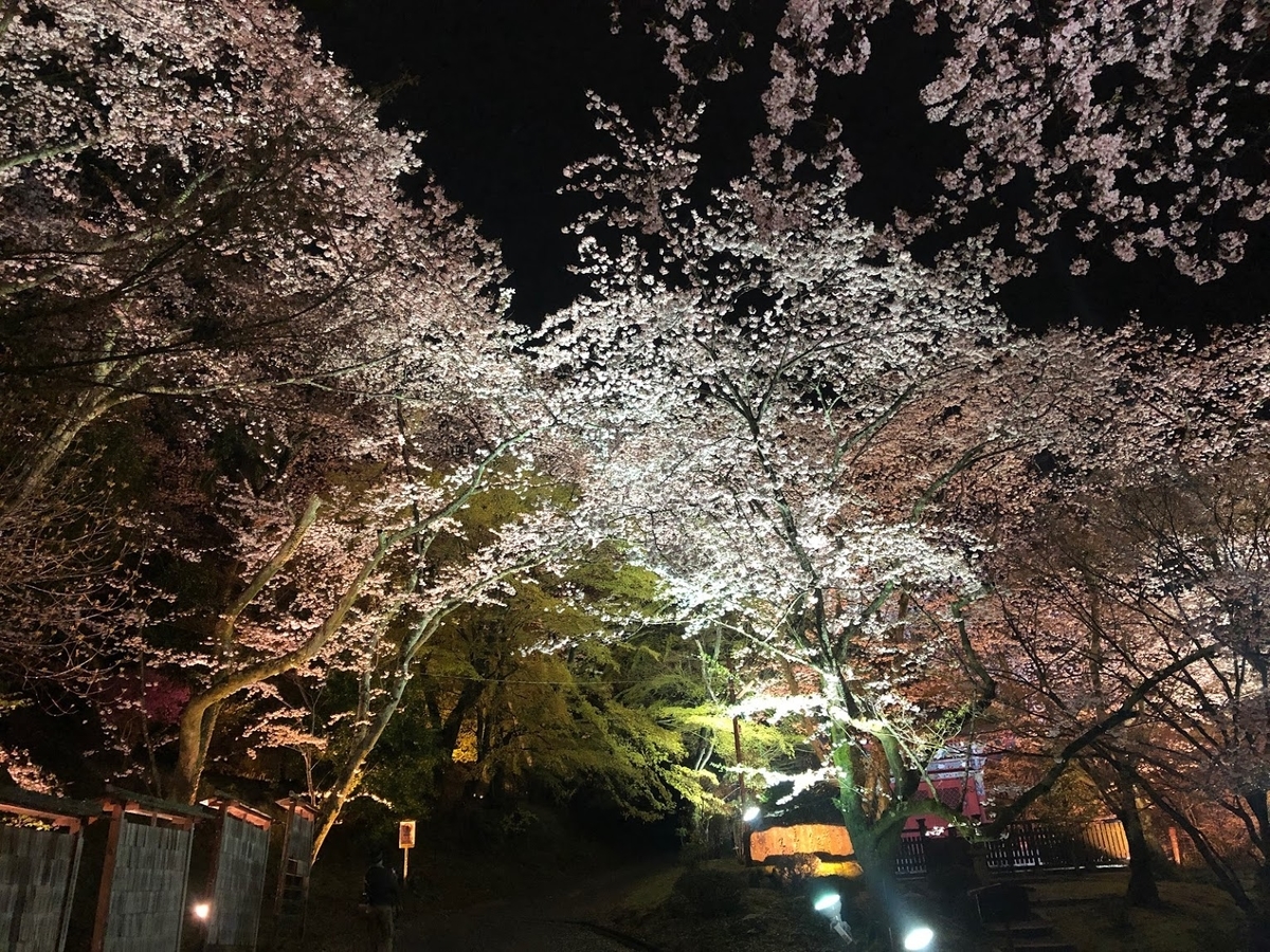 f:id:saotrip:20190411105253j:plain f:id:saotrip:20190411105253j:plain