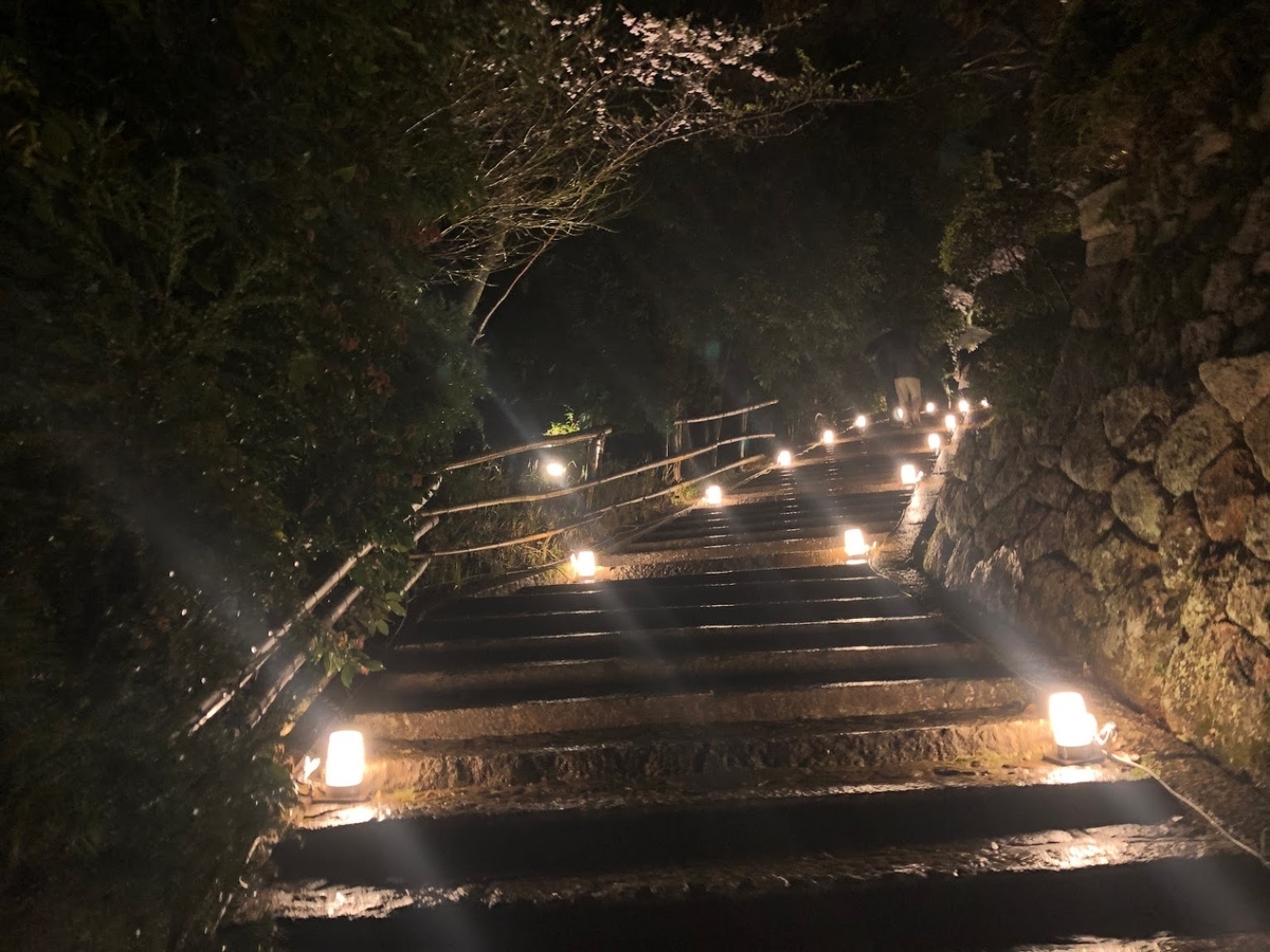 f:id:saotrip:20190411105258j:plain f:id:saotrip:20190411105258j:plain
