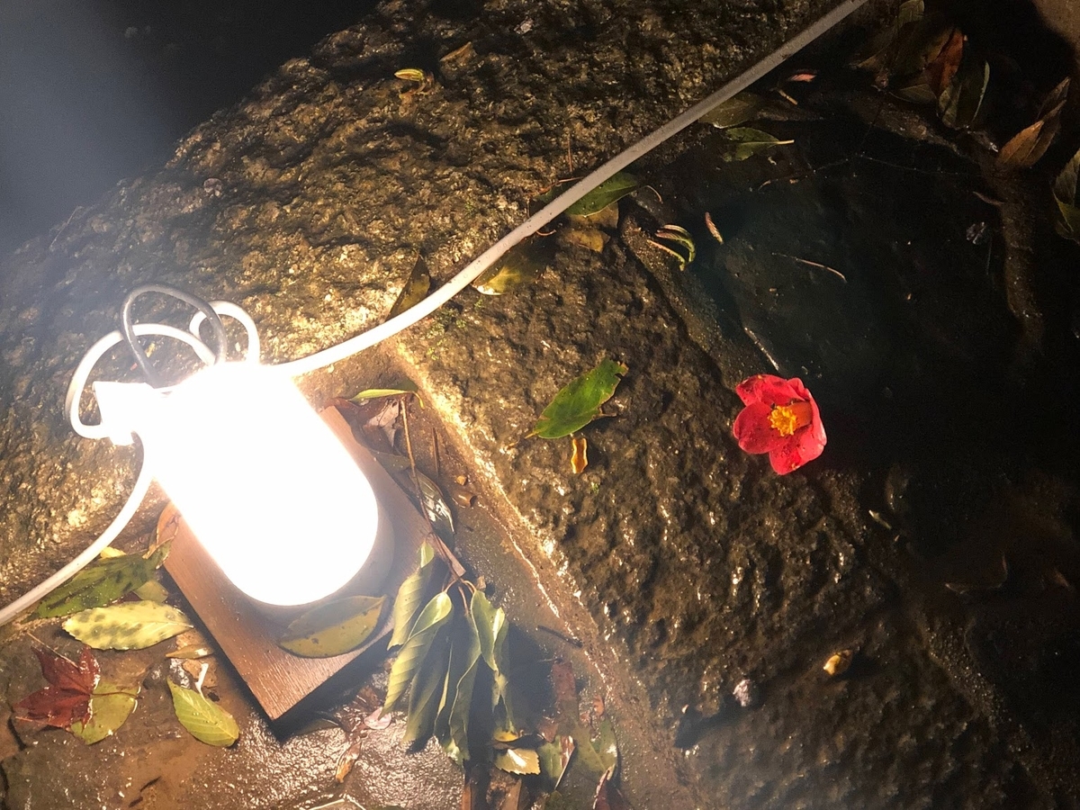 f:id:saotrip:20190411105303j:plain f:id:saotrip:20190411105303j:plain