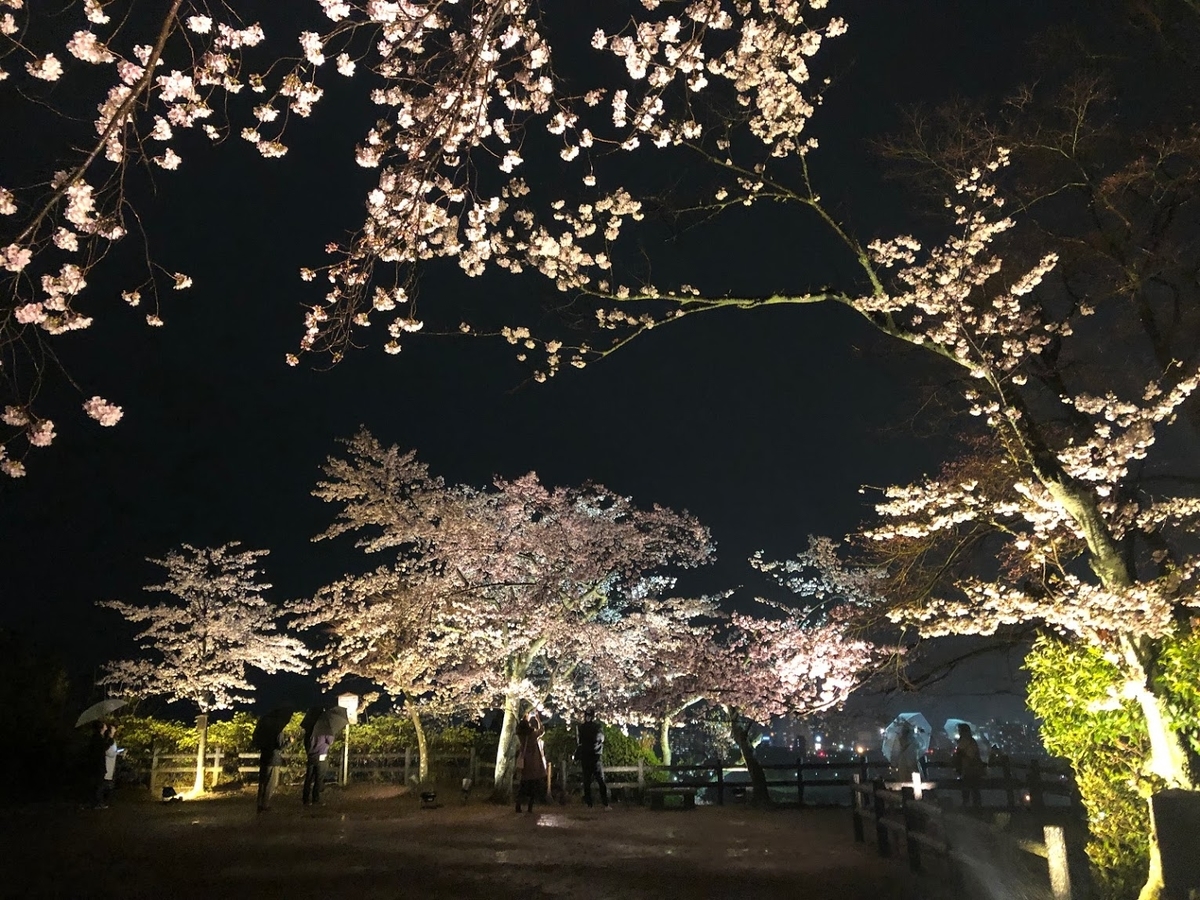 f:id:saotrip:20190411105309j:plain f:id:saotrip:20190411105309j:plain