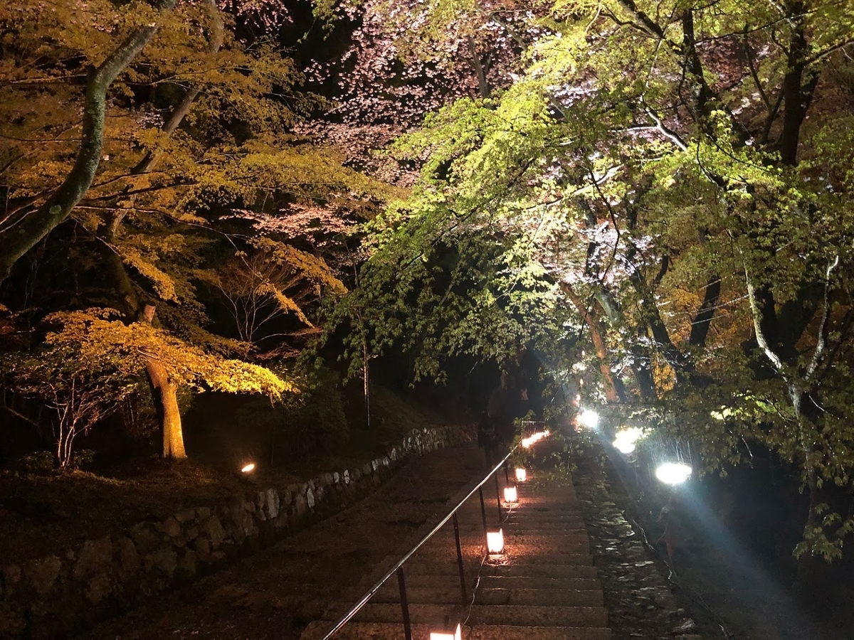 f:id:saotrip:20190411105326j:plain f:id:saotrip:20190411105326j:plain