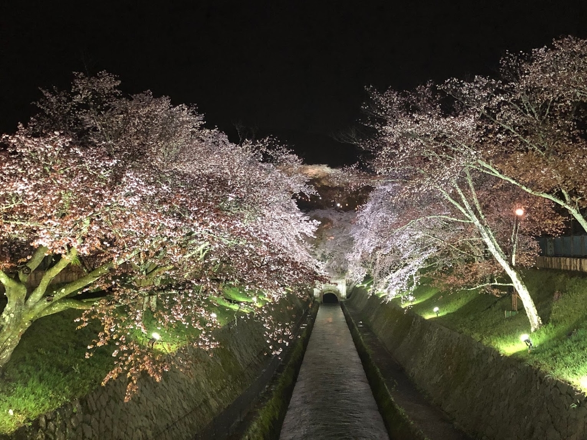 f:id:saotrip:20190411105332j:plain f:id:saotrip:20190411105332j:plain