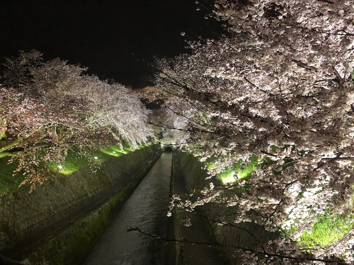 f:id:saotrip:20190411105338j:plain f:id:saotrip:20190411105338j:plain