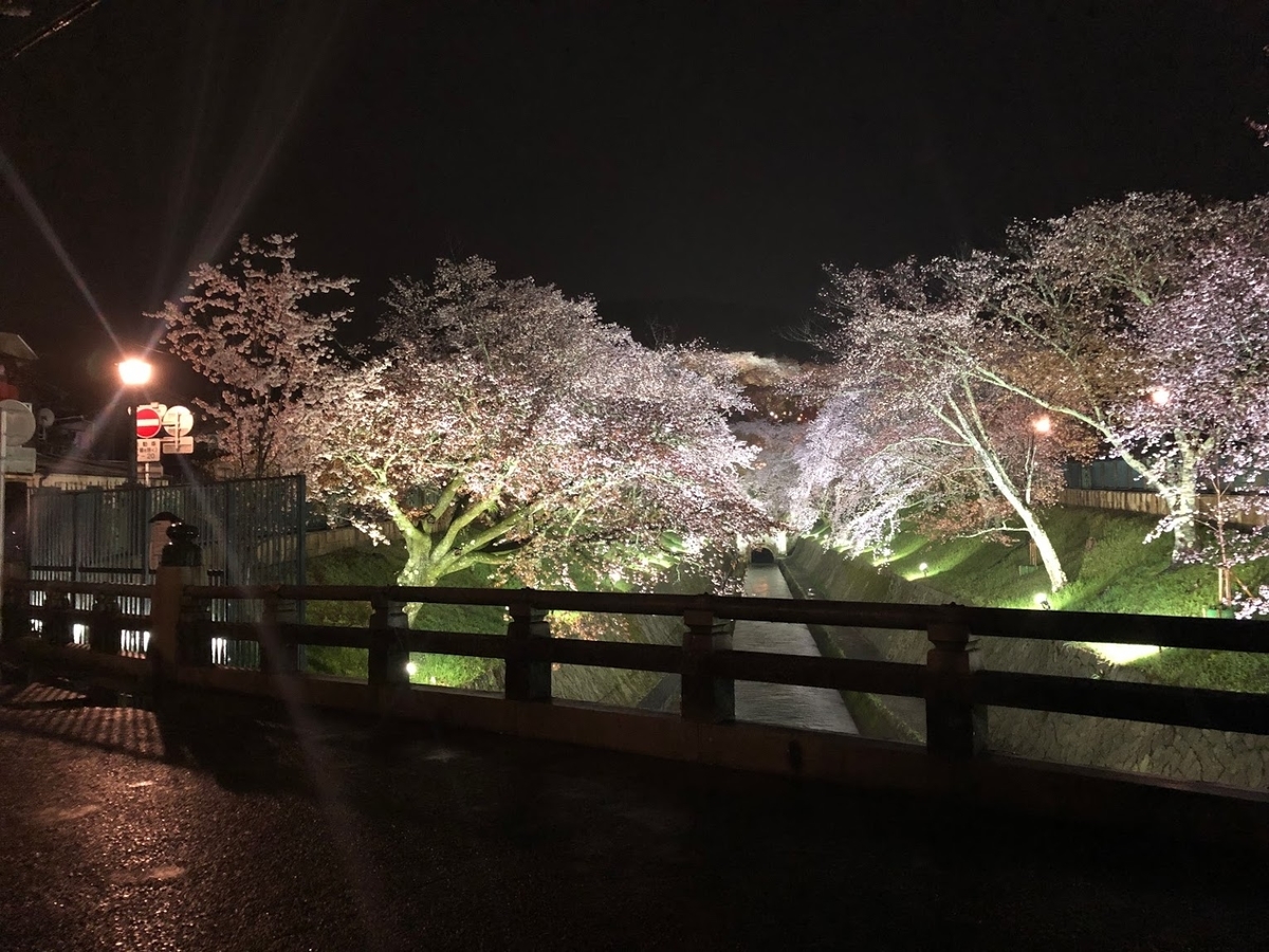 f:id:saotrip:20190411105349j:plain f:id:saotrip:20190411105349j:plain