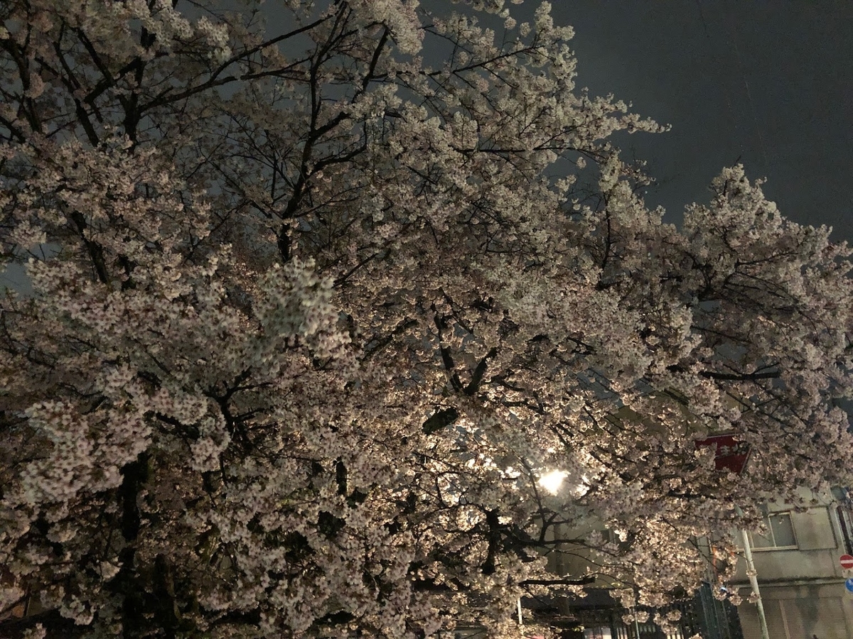 f:id:saotrip:20190411222214j:plain f:id:saotrip:20190411222214j:plain