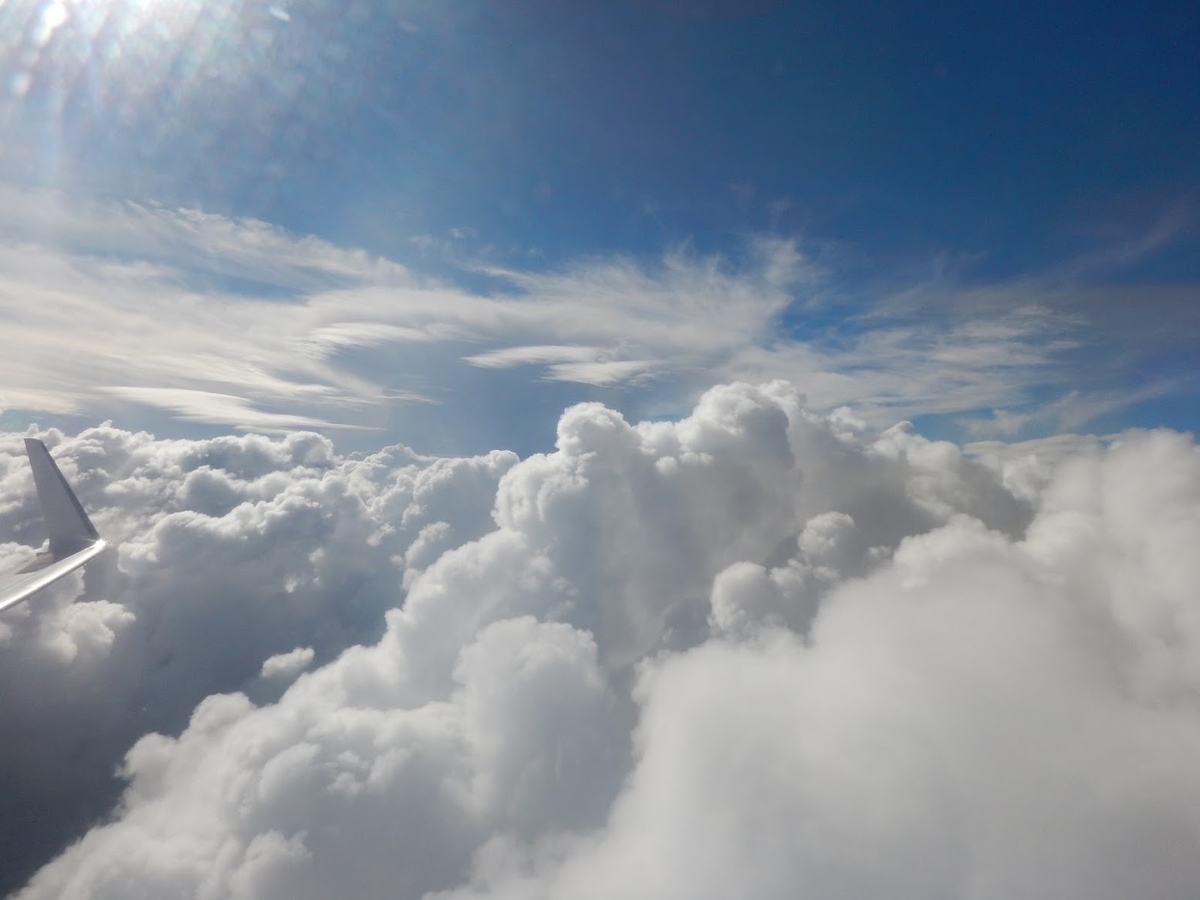 f:id:saotrip:20190610224853j:plain f:id:saotrip:20190610224853j:plain