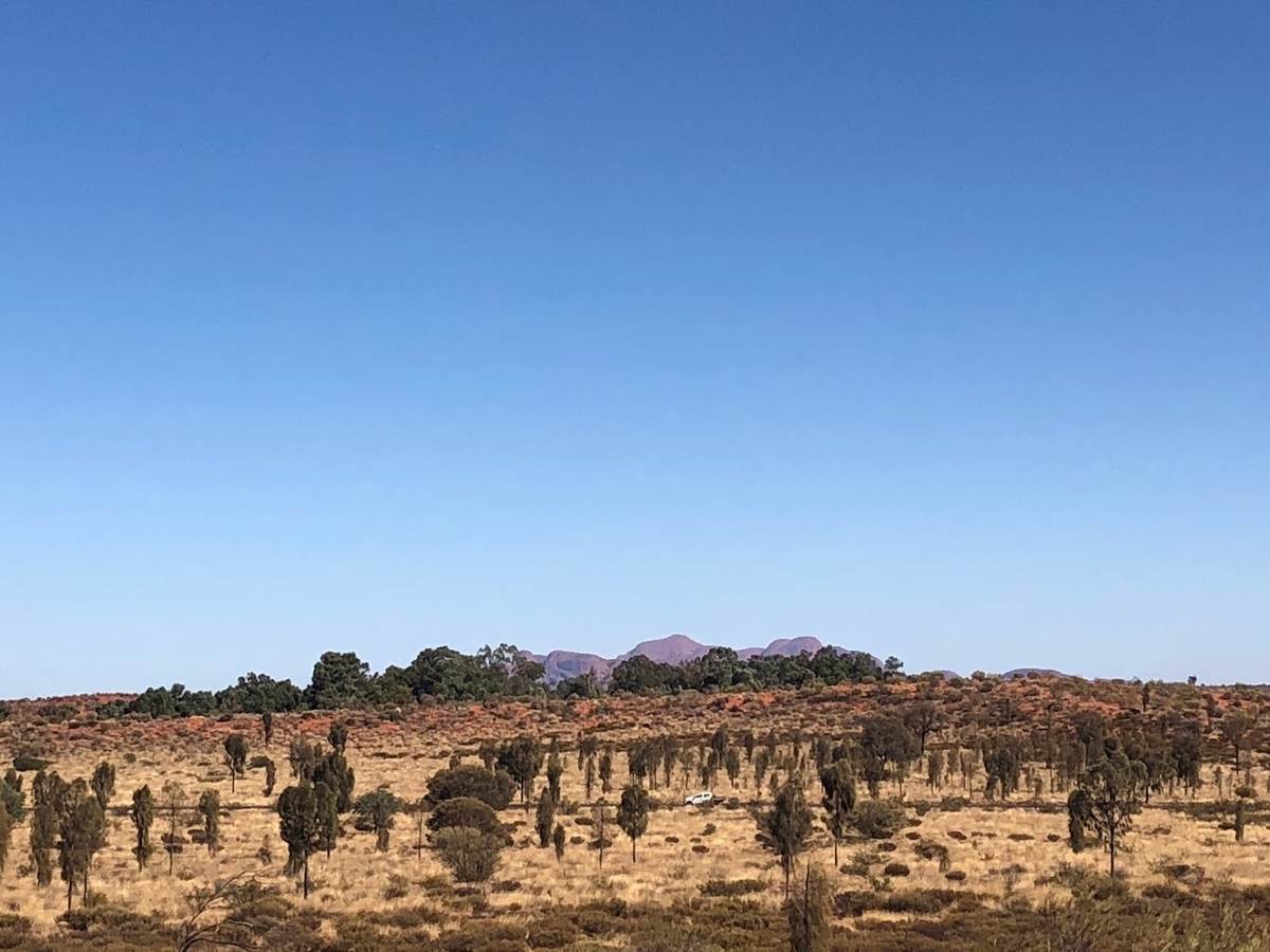 f:id:saotrip:20190617101045j:plain f:id:saotrip:20190617101045j:plain