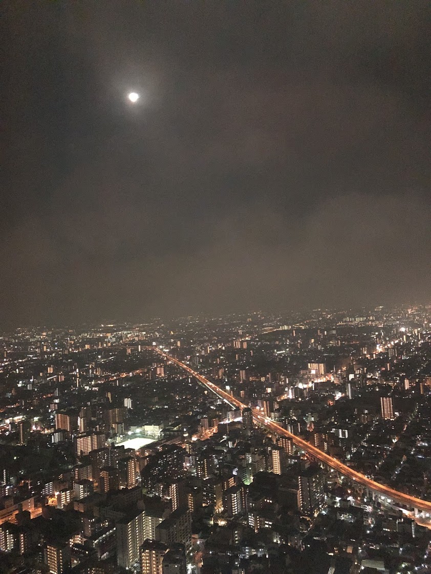 f:id:saotrip:20190719220329j:plain f:id:saotrip:20190719220329j:plain