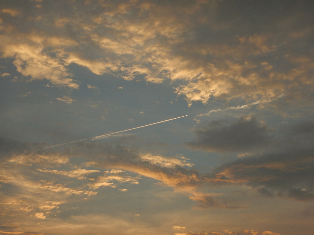 f:id:saotrip:20190825105846j:plain f:id:saotrip:20190825105846j:plain