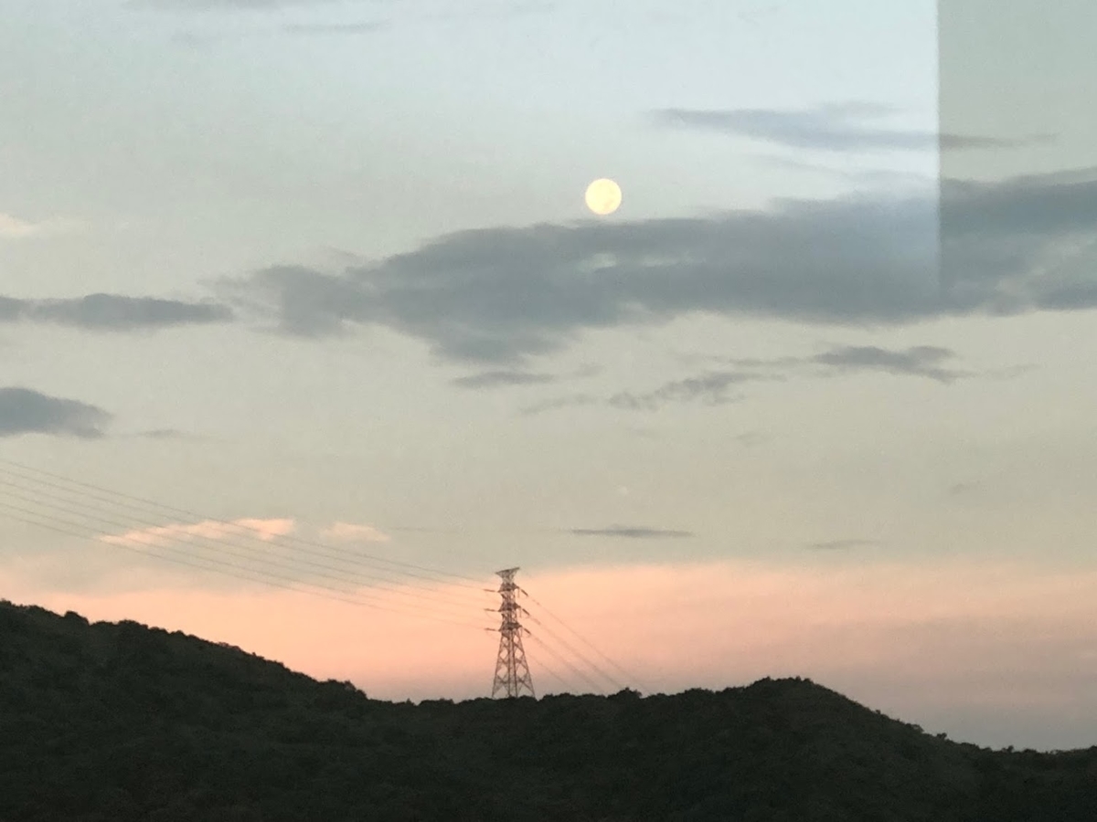 f:id:saotrip:20190825165043j:plain f:id:saotrip:20190825165043j:plain