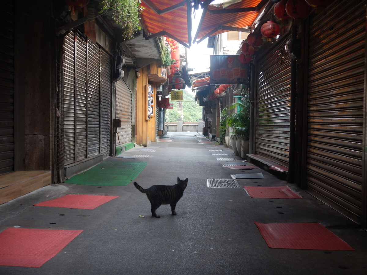 f:id:saotrip:20190825181254j:plain f:id:saotrip:20190825181254j:plain