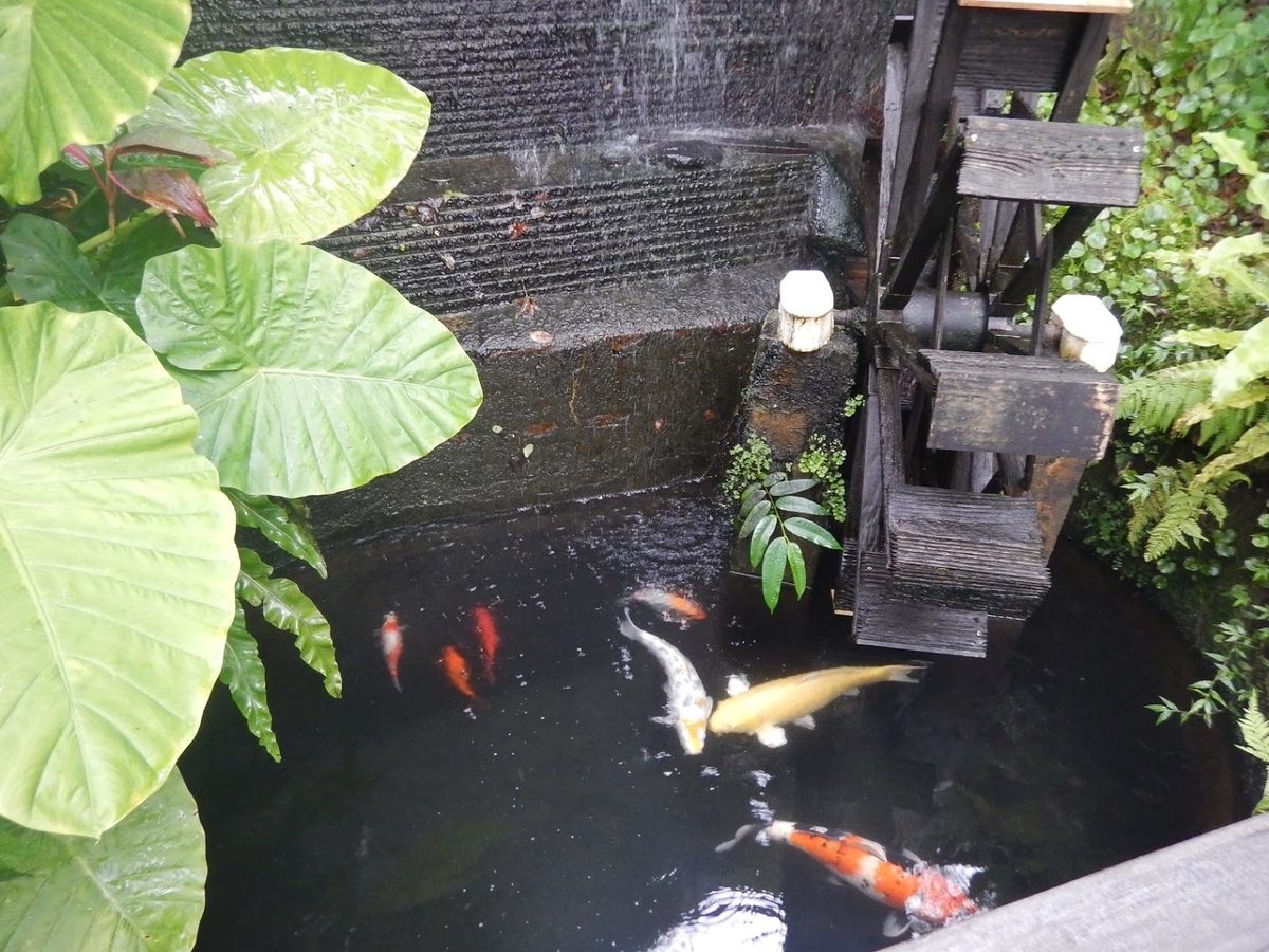 f:id:saotrip:20190901220756j:plain f:id:saotrip:20190901220756j:plain