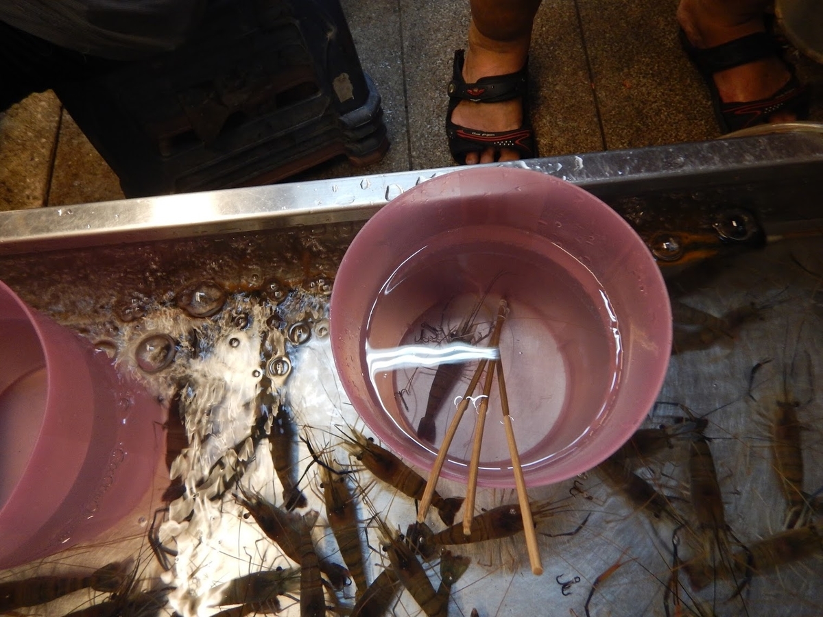 f:id:saotrip:20190902110354j:plain f:id:saotrip:20190902110354j:plain