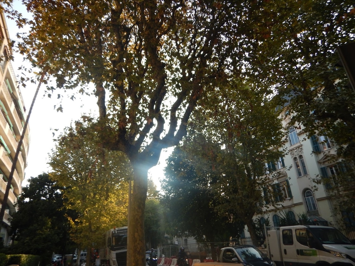 f:id:saotrip:20191009104648j:plain f:id:saotrip:20191009104648j:plain