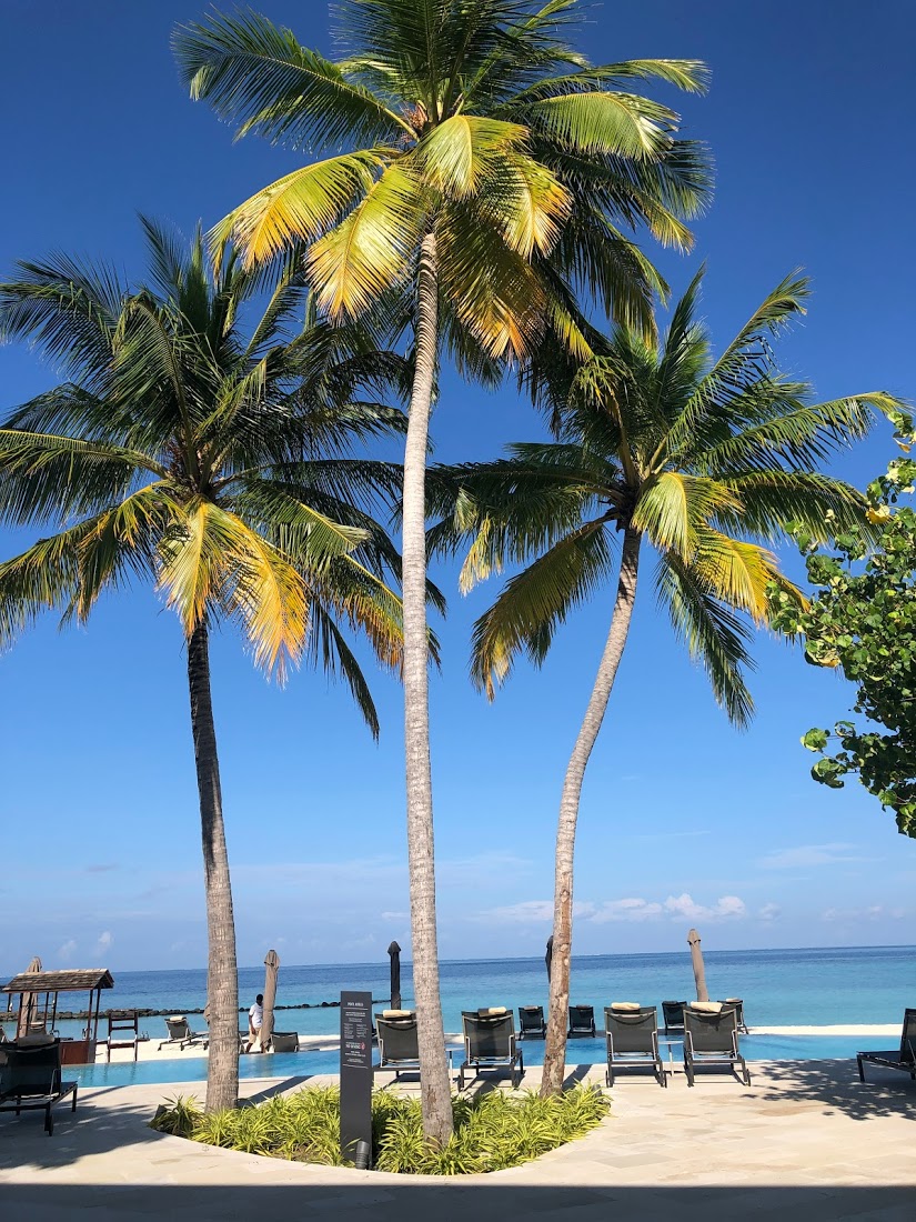 f:id:saotrip:20191101202030j:plain f:id:saotrip:20191101202030j:plain