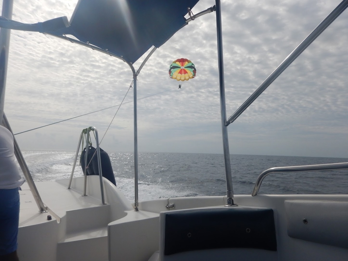 f:id:saotrip:20191102171000j:plain f:id:saotrip:20191102171000j:plain