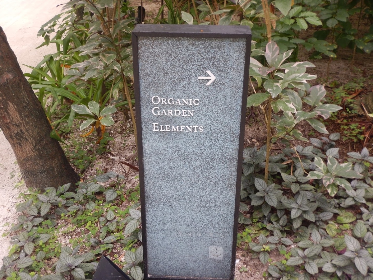 f:id:saotrip:20191102221621j:plain f:id:saotrip:20191102221621j:plain