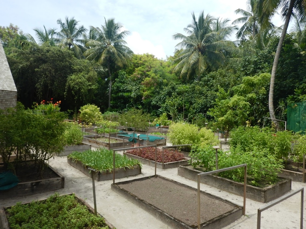 f:id:saotrip:20191102221630j:plain f:id:saotrip:20191102221630j:plain