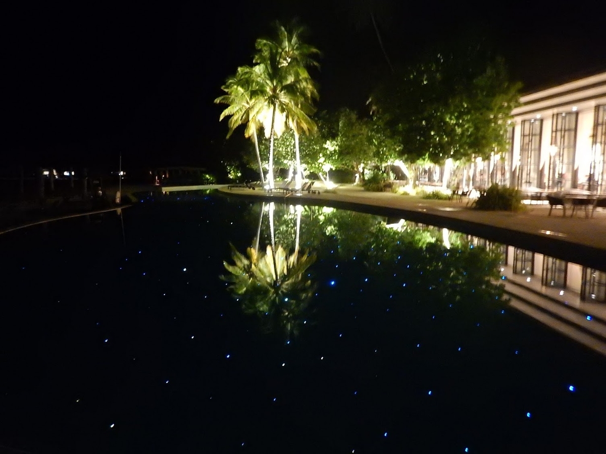 f:id:saotrip:20191102221859j:plain f:id:saotrip:20191102221859j:plain