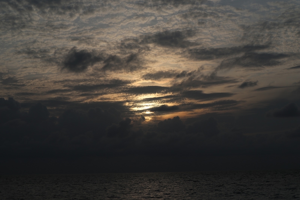 f:id:saotrip:20191110090115j:plain f:id:saotrip:20191110090115j:plain