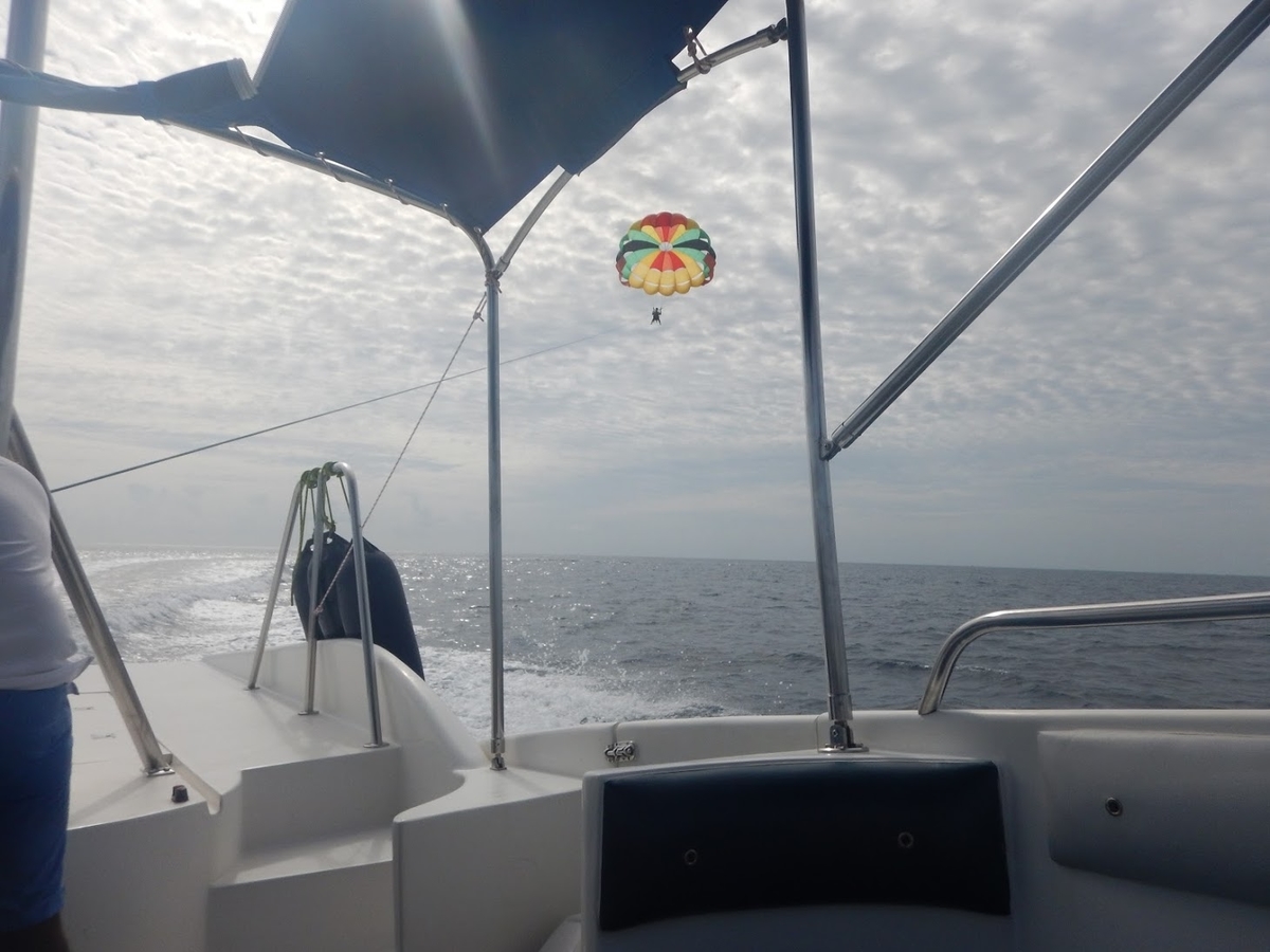 f:id:saotrip:20191113112526j:plain f:id:saotrip:20191113112526j:plain