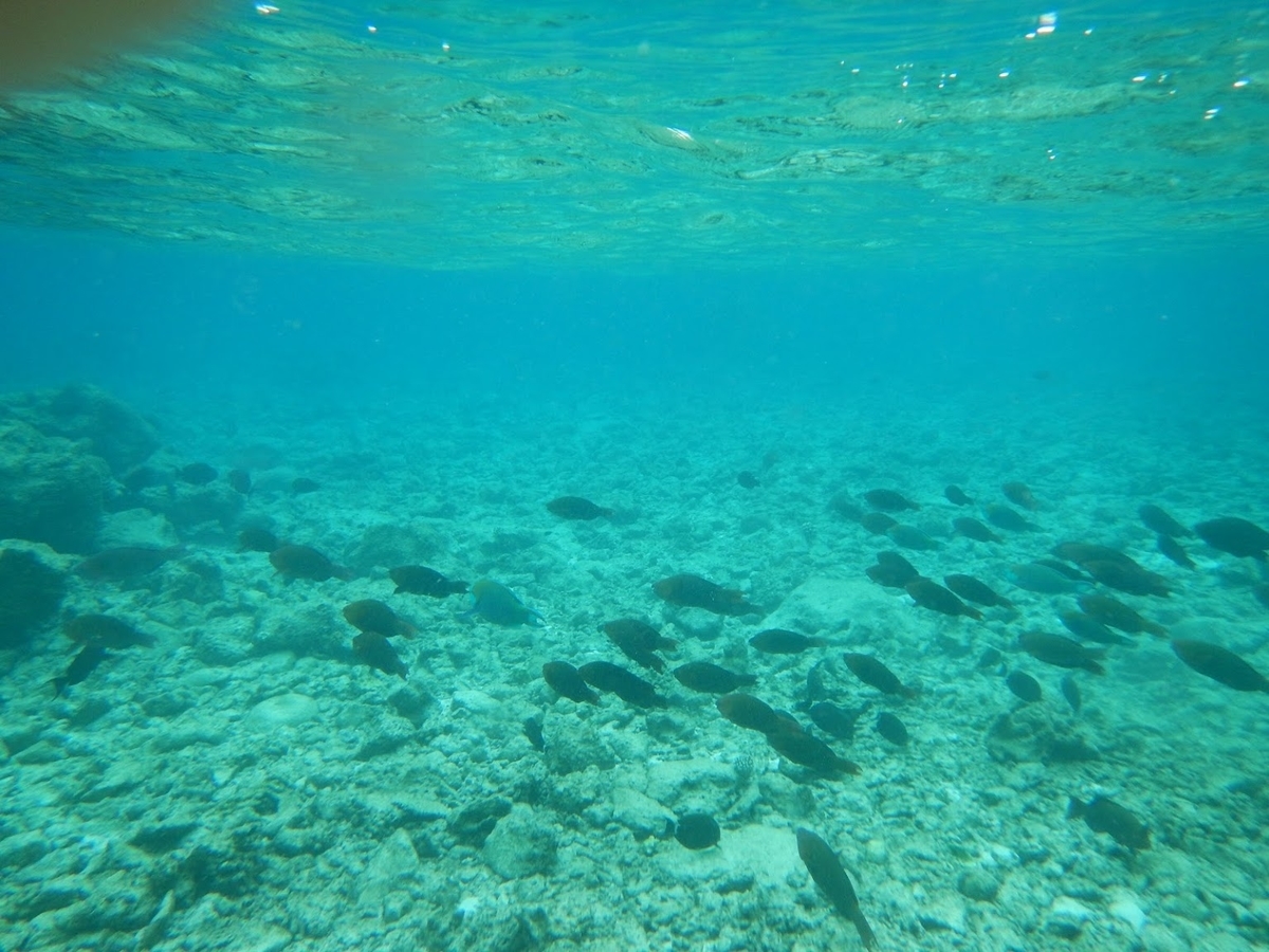 f:id:saotrip:20191113202612j:plain