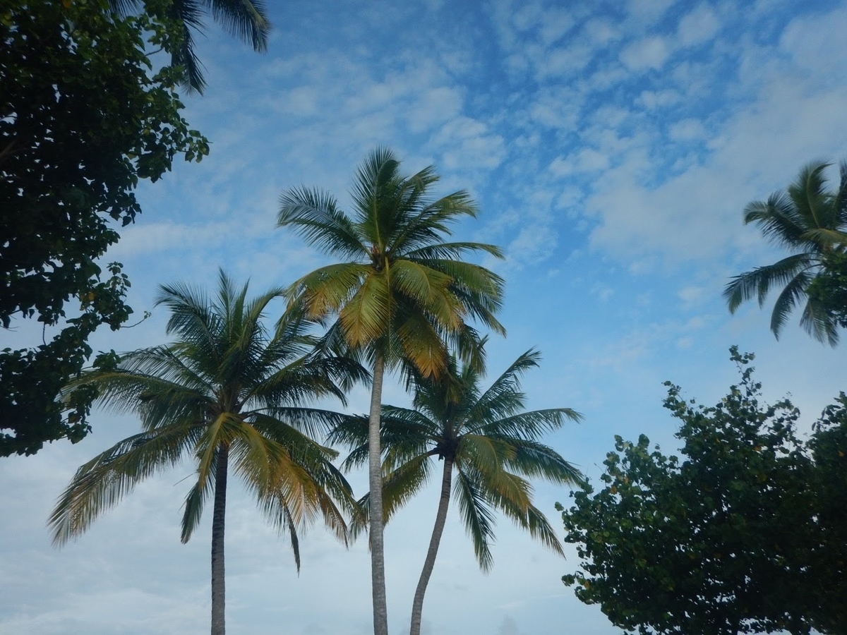 f:id:saotrip:20191113202634j:plain