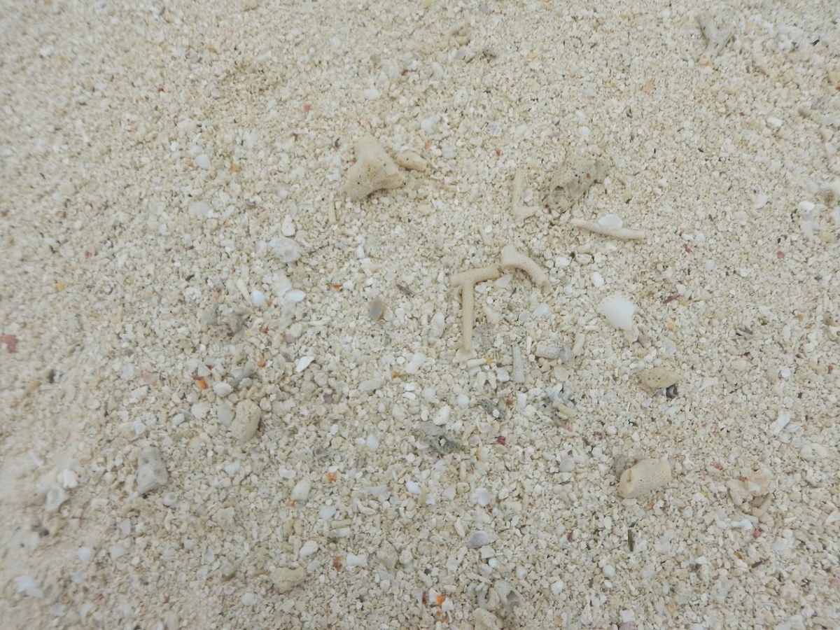 f:id:saotrip:20191115154411j:plain f:id:saotrip:20191115154411j:plain
