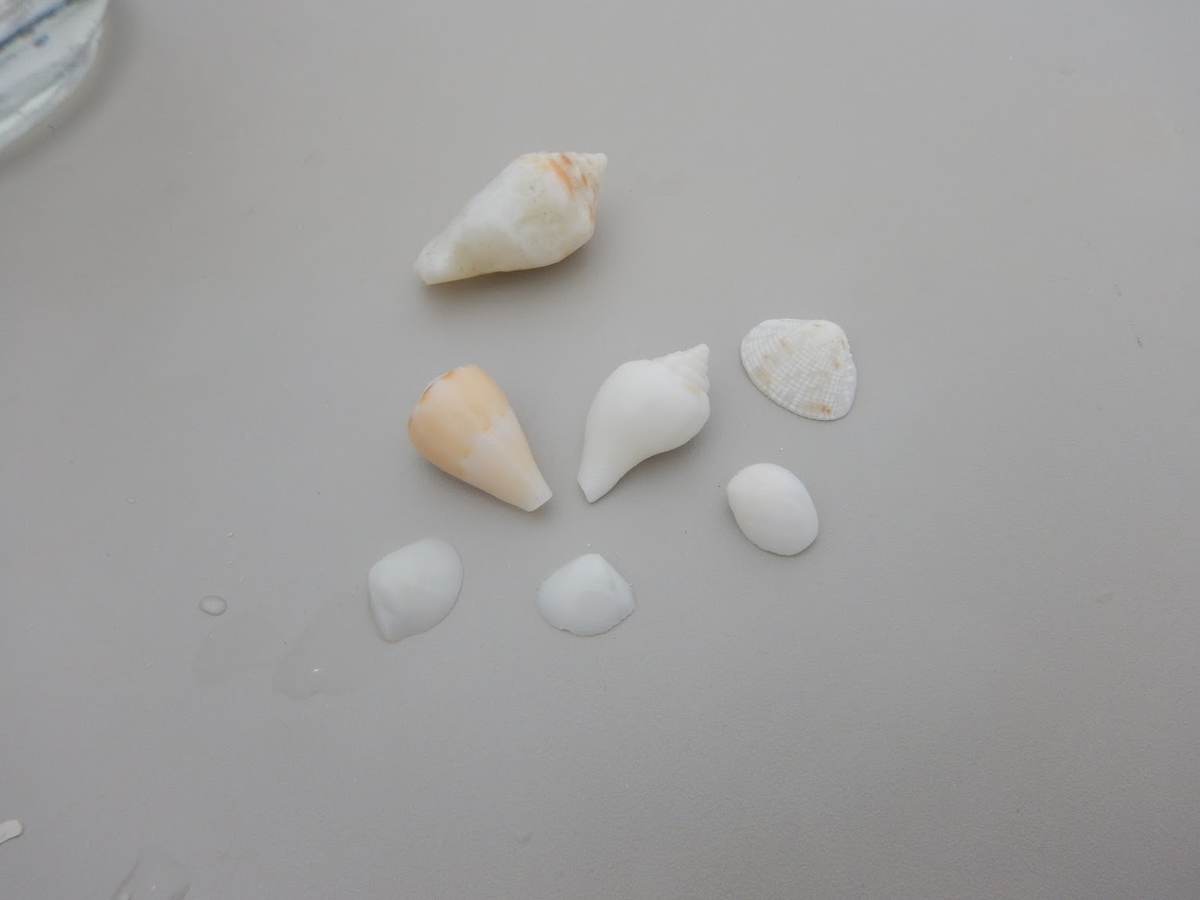 f:id:saotrip:20191115154415j:plain f:id:saotrip:20191115154415j:plain